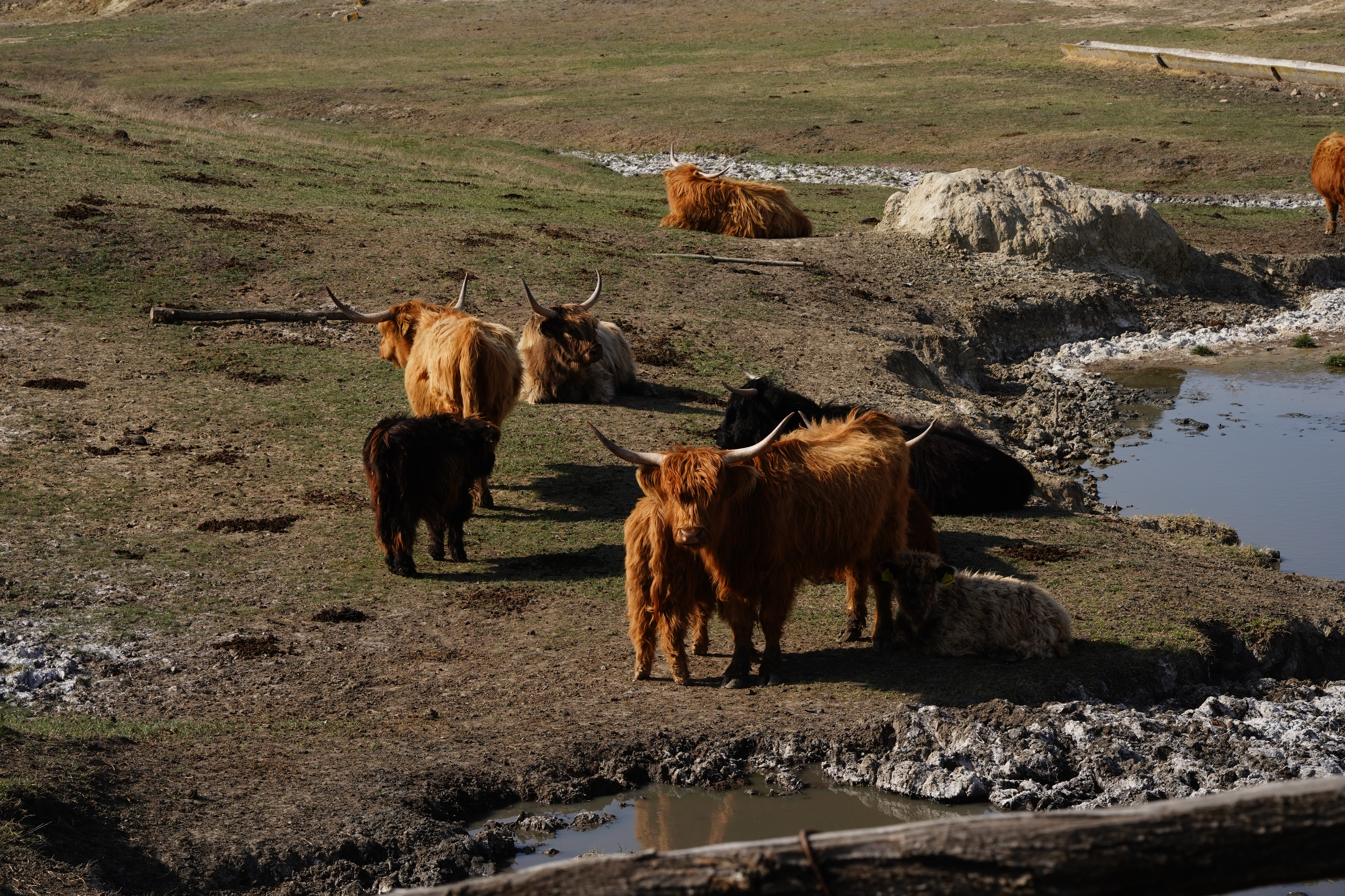 Agriculture